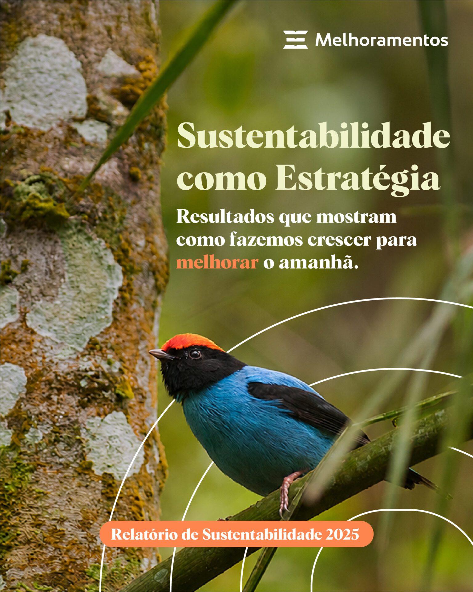 Relatório de Sustentabilidade 2025 LinkedIn_01