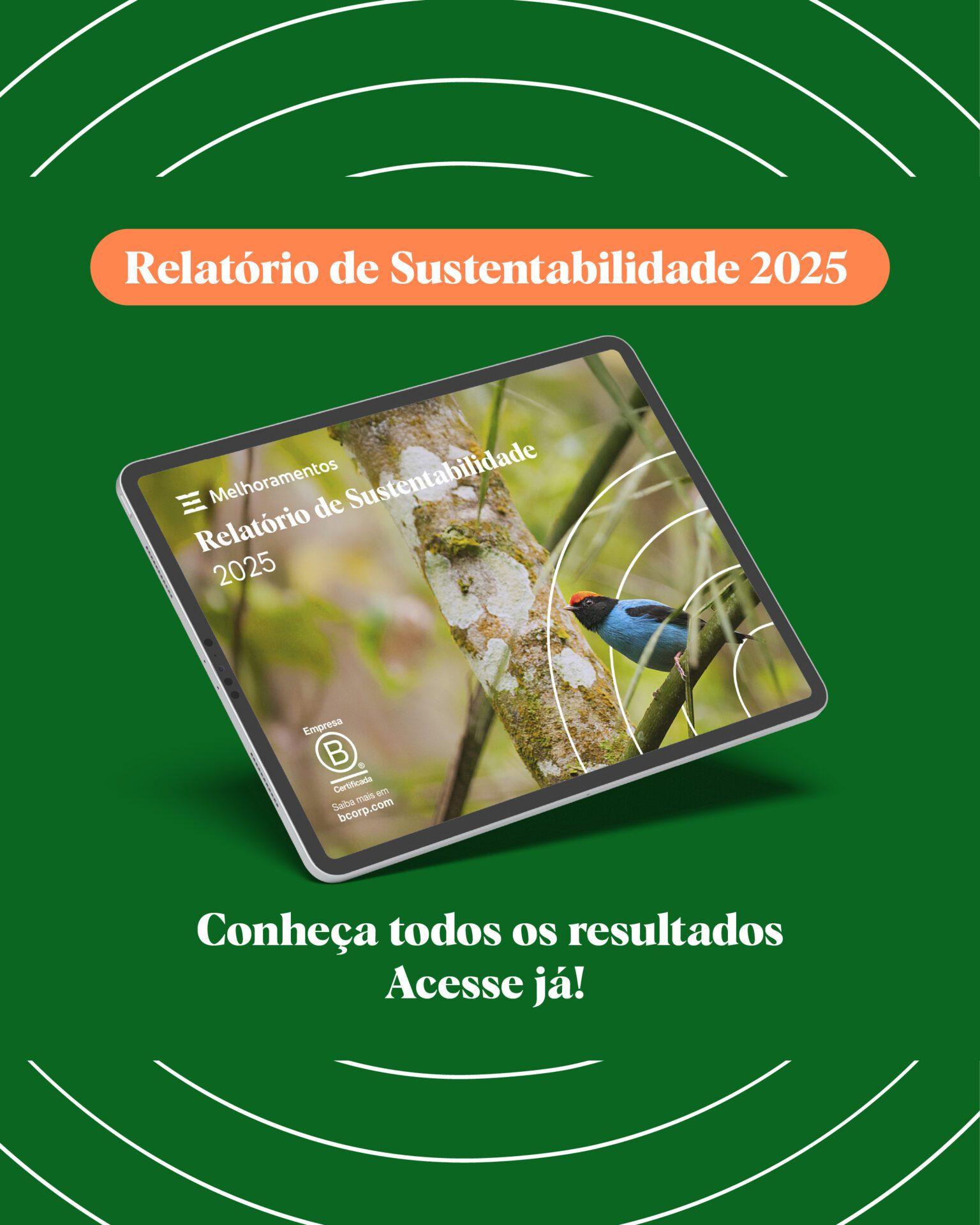 Relatório de Sustentabilidade 2025 LinkedIn_10